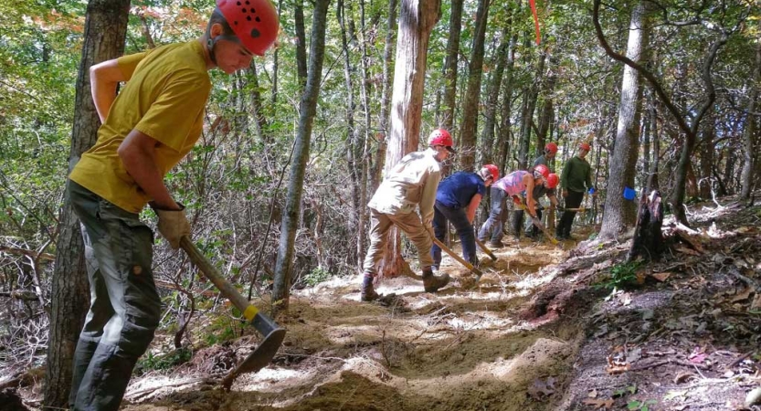 People wearing helmets use tools to work on a trail in a wooded area. 